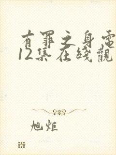 有罪之身电视剧12集在线观看封面