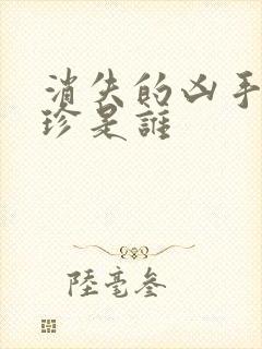 消失的凶手宋玉珍是谁