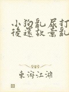 小狗乱尿打了之后还故意乱拉