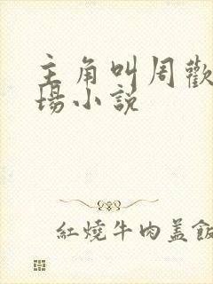 主角叫周欢的官场小说