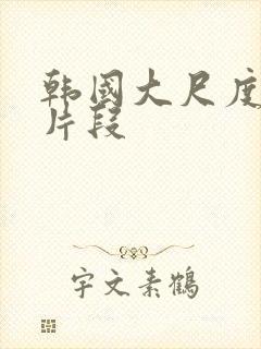 韩国大尺度床戏片段