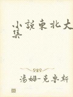 小说东北大炕全集