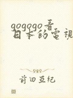 gogogo看日本的电视剧推荐