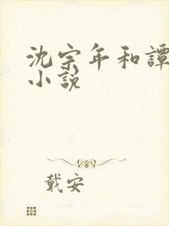 沈宗年和谭又明小说