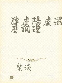 脾虚阳虚湿盛怎么调理