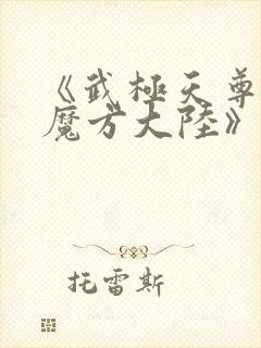 《武极天尊3之魔方大陆》在线观看封面