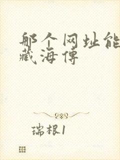 那个网址能看到藏海传
