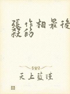 张作相最后被谁杀的封面