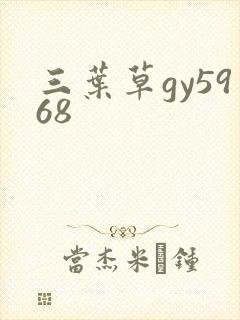 三叶草gy5968封面