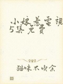 小娘惹电视剧45集免费