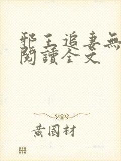 邪王追妻无删减阅读全文封面