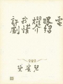 许我耀眼电视剧剧情介绍封面