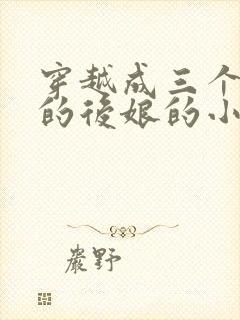 穿越成三个孩子的后娘的小说封面