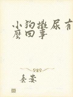 小狗撒尿有血怎么回事