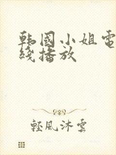 韩国小姐电影在线播放