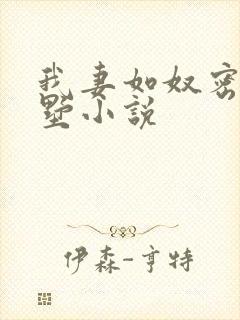 我妻如奴密云别墅小说