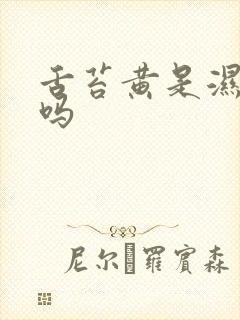 舌苔黄是湿气重吗