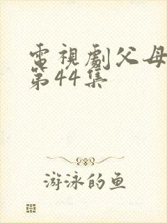 电视剧父母爱情第44集