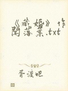 《藏婚》作者:闻落叶.txt