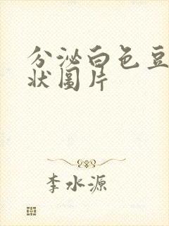 分泌白色豆腐渣状图片