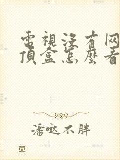 电视没有网络机顶盒怎么看电视