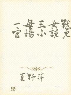 一母三女战一婿官场小说免费阅读