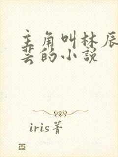 主角叫林辰薛灵芸的小说封面