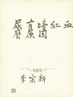 尿有暗红血是什么原因