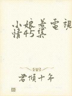 小娘惹电视剧剧情45集