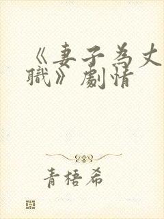 《妻子为丈夫升职》剧情封面