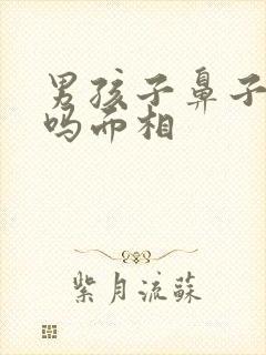 男孩子鼻子大好吗面相