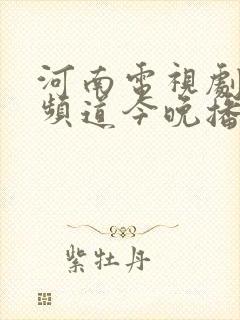 河南电视剧35频道今晚播放抗日片