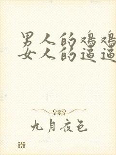 男人的鸡鸡插入女人的逼逼视频