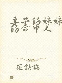 妻子的妹妹是我的命中人封面