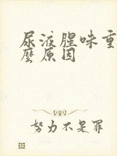 尿液腥味重是什么原因封面