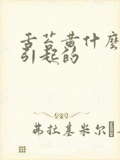 舌苔黄什么原因引起的