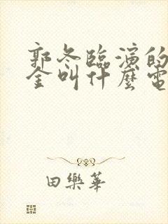 郭冬临演的程咬金叫什么电视剧