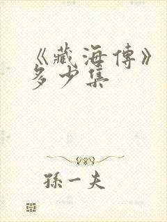 《藏海传》一共多少集