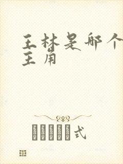 王林是哪个小说主角