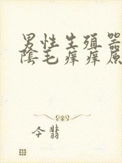 男性生殖器外部阴毛痒痒原因