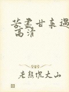 苦尽甘来遇见你 高清