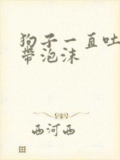 狗子一直吐黄水带泡沫封面