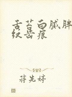 舌苔白腻胖大裂纹齿痕