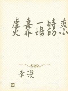 虐妻一时爽追妻火葬场的小说现言