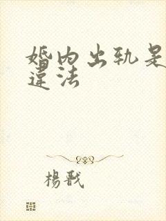 婚内出轨是不是违法