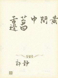 舌苔中间黄厚腻边白