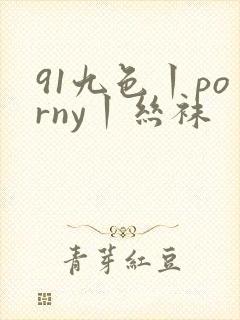 91九色丨porny丨丝袜