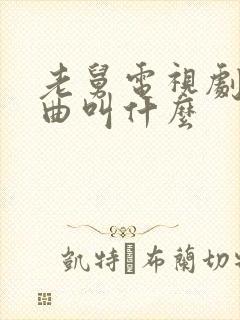 老舅电视剧主题曲叫什么封面