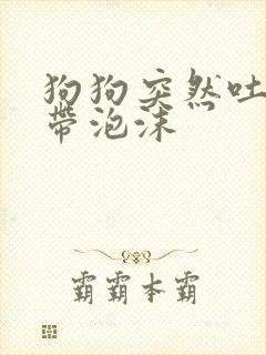 狗狗突然吐黄水带泡沫