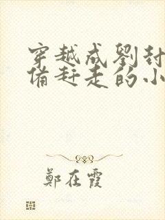 穿越成刘封被刘备赶走的小说封面